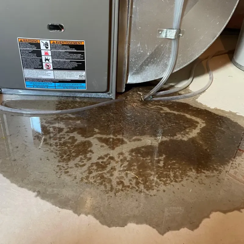 Appliance Leak Cleanup in Shelbyville, IN